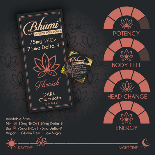 Bhumi Plain Dark Chocolate