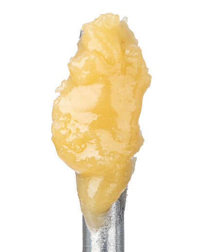 King Louis XIII Badder (80.200% THCa)