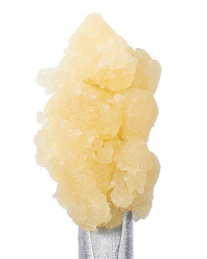 Purple Punch Sugar (84.000% THCa)