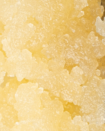 Purple Punch Sugar (84.000% THCa)