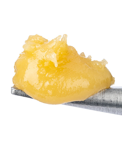 White Widow Badder (81.000% THCa)